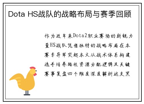 Dota HS战队的战略布局与赛季回顾