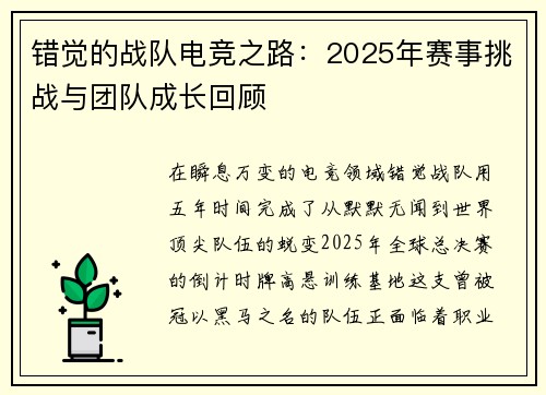 错觉的战队电竞之路：2025年赛事挑战与团队成长回顾